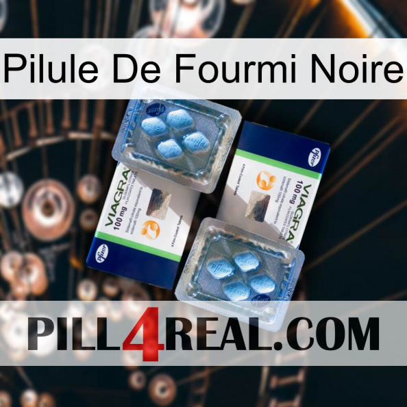 Black Ant Pill viagra5